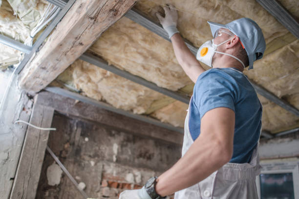 Best Spray Foam Insulation  in White Center, WA