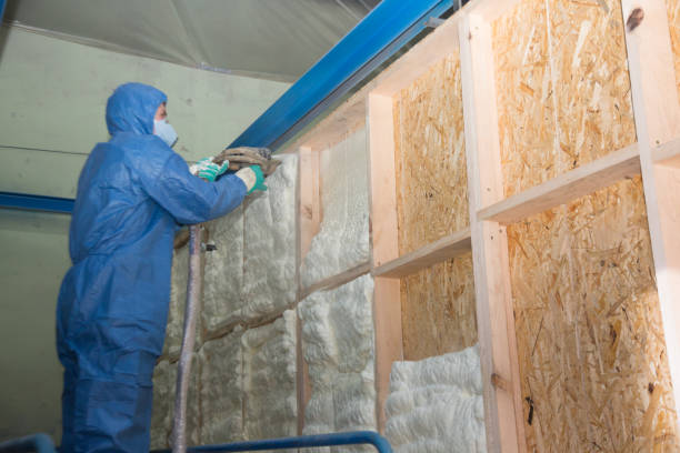 Best Local Insulation Services  in White Center, WA